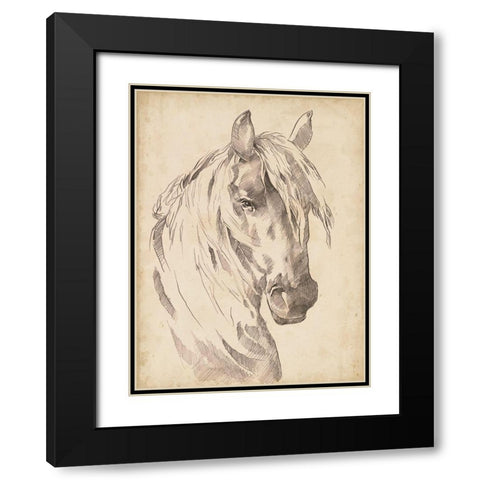 Horse Portrait Sketch I Black Modern Wood Framed Art Print with Double Matting by Parker, Jennifer Paxton