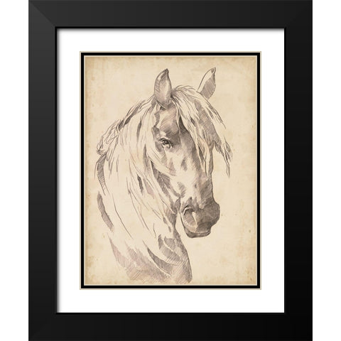 Horse Portrait Sketch I Black Modern Wood Framed Art Print with Double Matting by Parker, Jennifer Paxton
