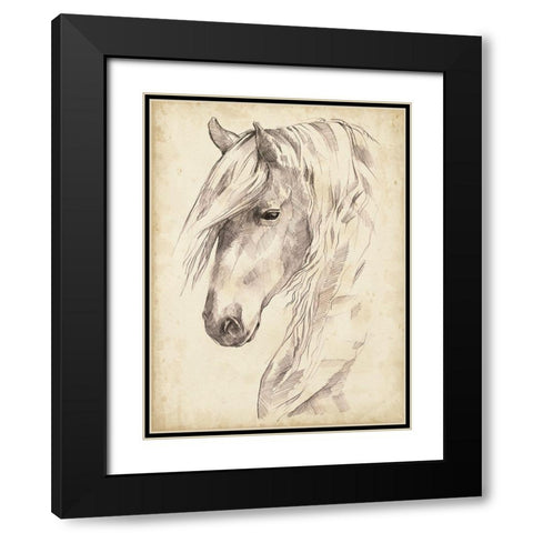 Horse Portrait Sketch II Black Modern Wood Framed Art Print with Double Matting by Parker, Jennifer Paxton