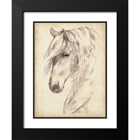 Horse Portrait Sketch II Black Modern Wood Framed Art Print with Double Matting by Parker, Jennifer Paxton