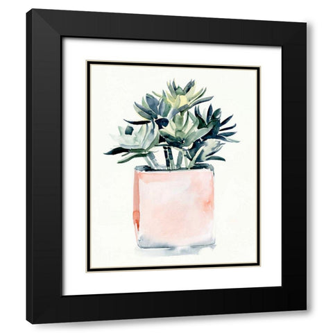 Potted Succulent IV Black Modern Wood Framed Art Print with Double Matting by Parker, Jennifer Paxton