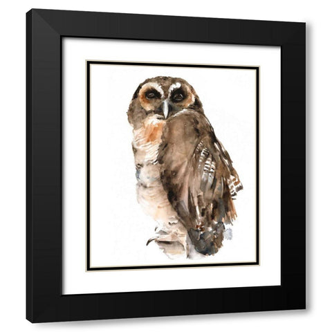 Watercolor Owl I Black Modern Wood Framed Art Print with Double Matting by Parker, Jennifer Paxton