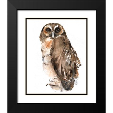 Watercolor Owl I Black Modern Wood Framed Art Print with Double Matting by Parker, Jennifer Paxton