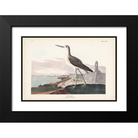 Pl. 269 Greenshank Black Modern Wood Framed Art Print with Double Matting by Audubon, John James