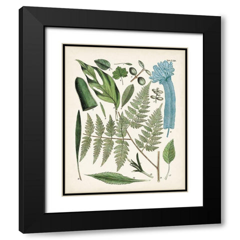 Fanciful Ferns IV Black Modern Wood Framed Art Print with Double Matting by Unknown
