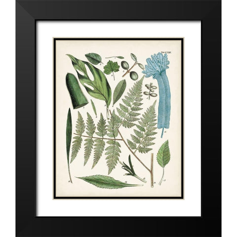 Fanciful Ferns IV Black Modern Wood Framed Art Print with Double Matting by Unknown