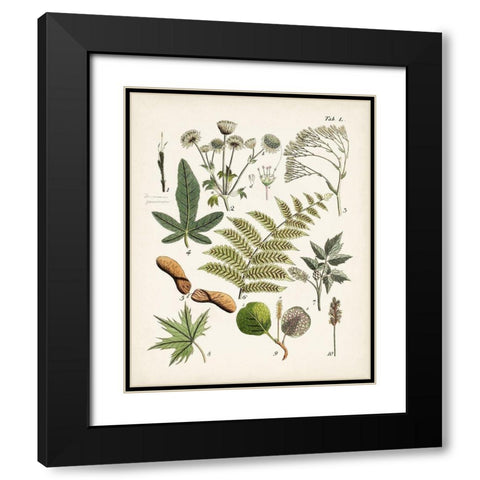 Fanciful Ferns VI Black Modern Wood Framed Art Print with Double Matting by Unknown