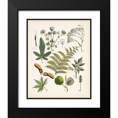 Fanciful Ferns VI Black Modern Wood Framed Art Print with Double Matting by Unknown