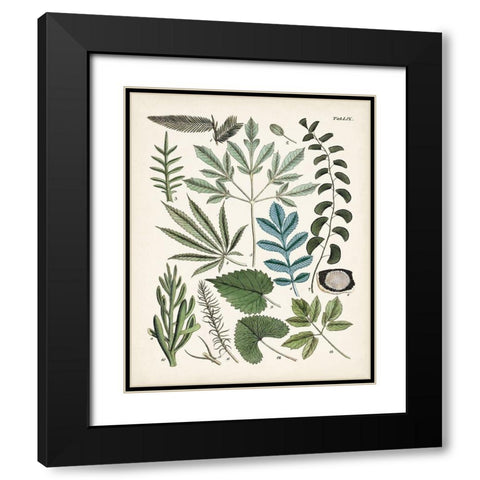 Fanciful Ferns VII Black Modern Wood Framed Art Print with Double Matting by Unknown