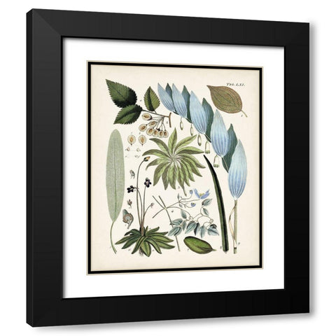 Fanciful Ferns IX Black Modern Wood Framed Art Print with Double Matting by Unknown