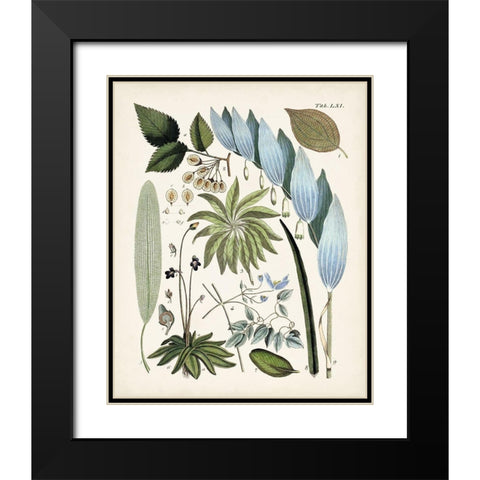 Fanciful Ferns IX Black Modern Wood Framed Art Print with Double Matting by Unknown