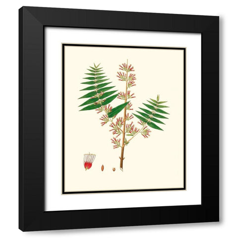 Spring Green Foliage VI Black Modern Wood Framed Art Print with Double Matting by Unknown