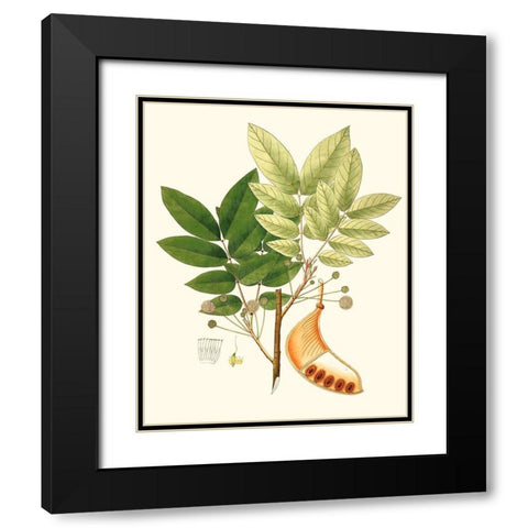 Spring Green Foliage IX Black Modern Wood Framed Art Print with Double Matting by Unknown