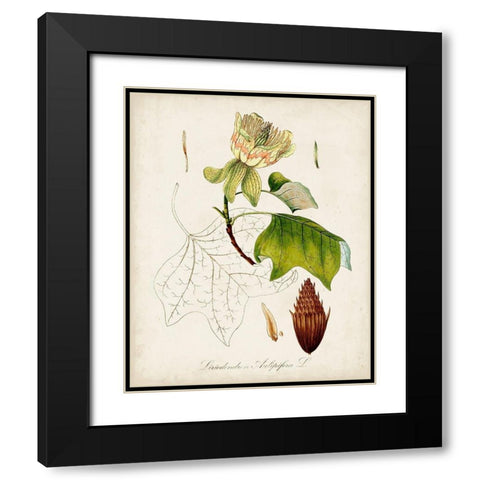 Antique Tree Study IX Black Modern Wood Framed Art Print with Double Matting by Unknown