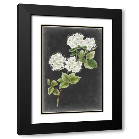 Dramatic White Flowers II Black Modern Wood Framed Art Print with Double Matting by Vision Studio