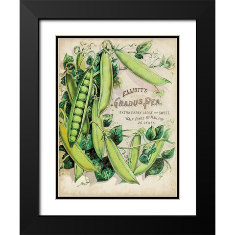 Antique Seed Packets V Black Modern Wood Framed Art Print with Double Matting by Unknown