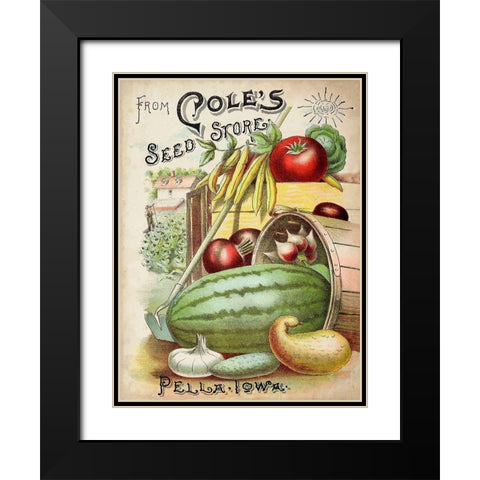 Antique Seed Packets VI Black Modern Wood Framed Art Print with Double Matting by Unknown