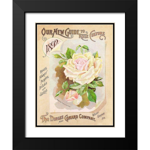 Antique Seed Packets IX Black Modern Wood Framed Art Print with Double Matting by Unknown