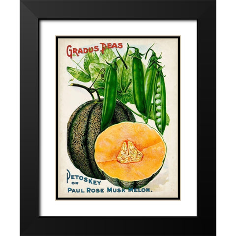 Antique Seed Packets X Black Modern Wood Framed Art Print with Double Matting by Unknown