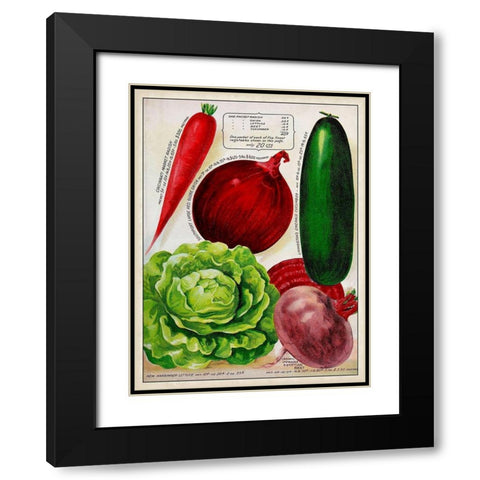 Antique Seed Packets XI Black Modern Wood Framed Art Print with Double Matting by Unknown