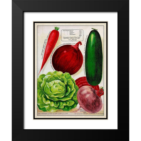 Antique Seed Packets XI Black Modern Wood Framed Art Print with Double Matting by Unknown