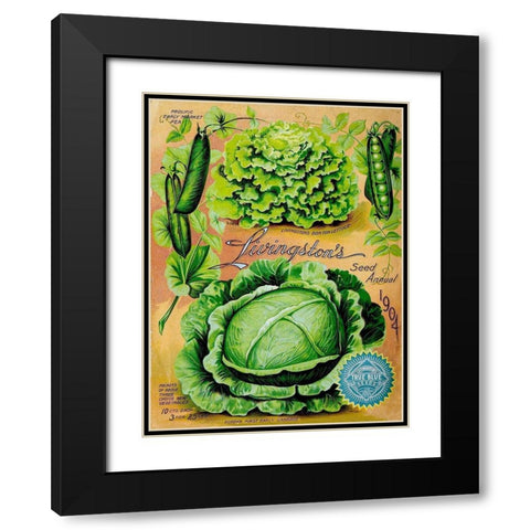 Antique Seed Packets XII Black Modern Wood Framed Art Print with Double Matting by Unknown