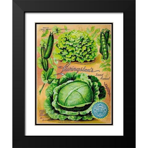 Antique Seed Packets XII Black Modern Wood Framed Art Print with Double Matting by Unknown