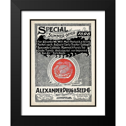 Antique Seed Packets XIII Black Modern Wood Framed Art Print with Double Matting by Unknown