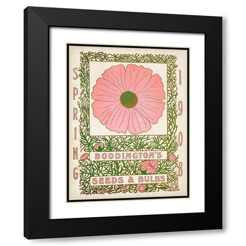 Antique Seed Packets XV Black Modern Wood Framed Art Print with Double Matting by Unknown