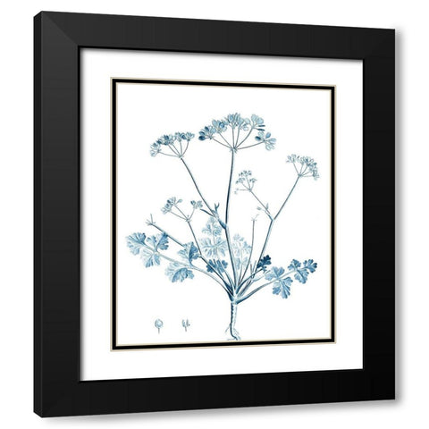 Antique Botanical in Blue IV Black Modern Wood Framed Art Print with Double Matting by Vision Studio