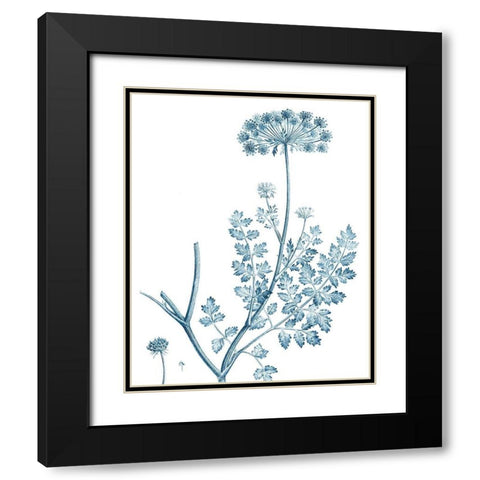 Antique Botanical in Blue V Black Modern Wood Framed Art Print with Double Matting by Vision Studio