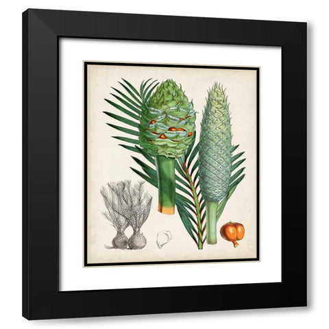 Sago Palms I Black Modern Wood Framed Art Print with Double Matting by Curtis