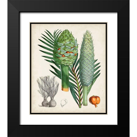 Sago Palms I Black Modern Wood Framed Art Print with Double Matting by Curtis