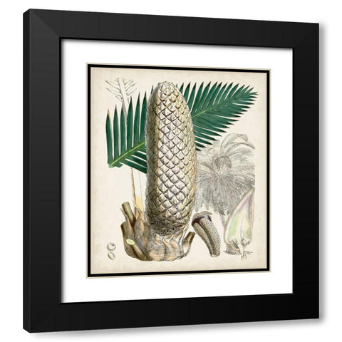 Sago Palms II Black Modern Wood Framed Art Print with Double Matting by Curtis
