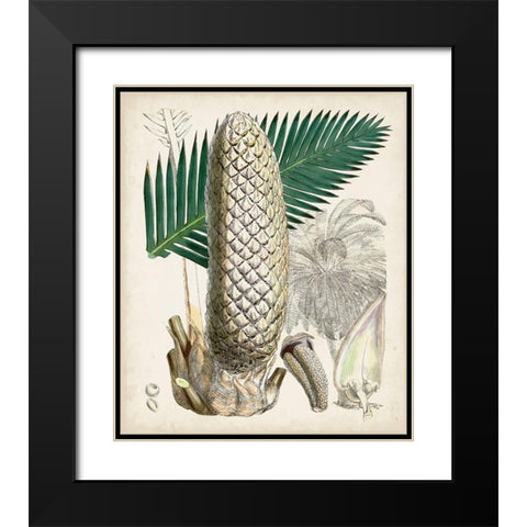 Sago Palms II Black Modern Wood Framed Art Print with Double Matting by Curtis