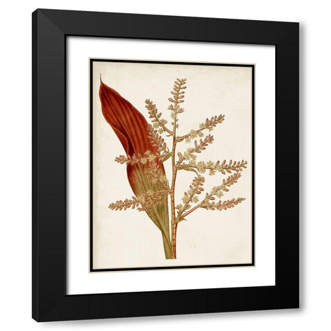 Muted Botanicals I Black Modern Wood Framed Art Print with Double Matting by Curtis