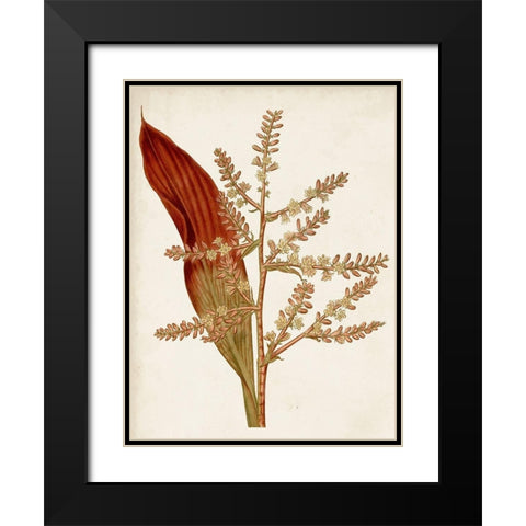 Muted Botanicals I Black Modern Wood Framed Art Print with Double Matting by Curtis