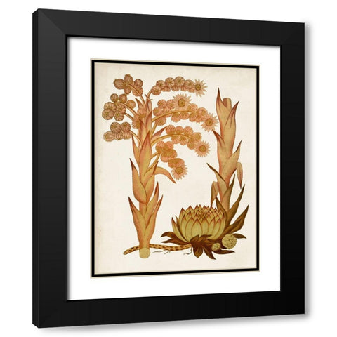 Muted Botanicals II Black Modern Wood Framed Art Print with Double Matting by Curtis