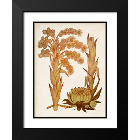 Muted Botanicals II Black Modern Wood Framed Art Print with Double Matting by Curtis