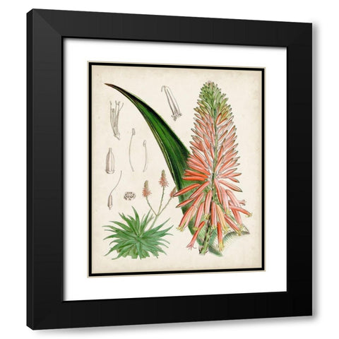 Delicate Tropicals I Black Modern Wood Framed Art Print with Double Matting by Curtis