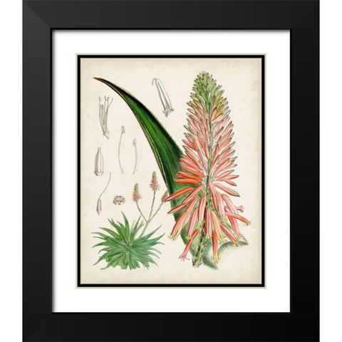 Delicate Tropicals I Black Modern Wood Framed Art Print with Double Matting by Curtis