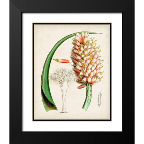 Delicate Tropicals III Black Modern Wood Framed Art Print with Double Matting by Curtis