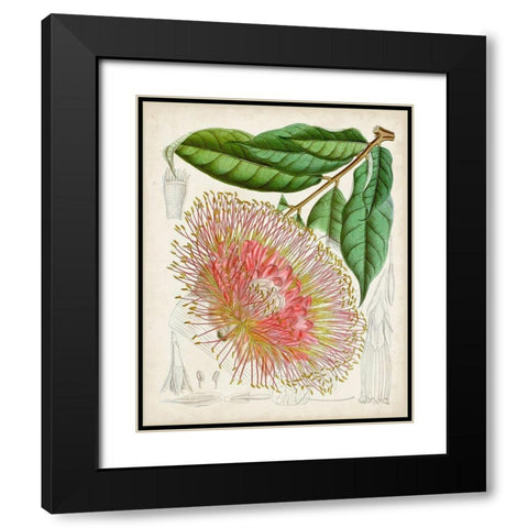 Delicate Tropicals IV Black Modern Wood Framed Art Print with Double Matting by Curtis