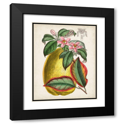 Delicate Tropicals V Black Modern Wood Framed Art Print with Double Matting by Curtis
