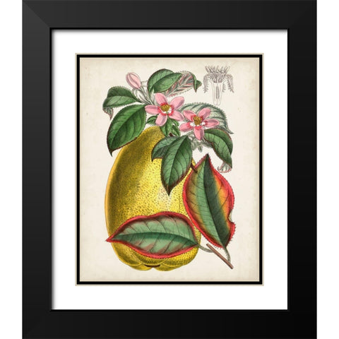 Delicate Tropicals V Black Modern Wood Framed Art Print with Double Matting by Curtis