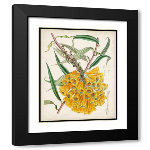 Delicate Tropicals VI Black Modern Wood Framed Art Print with Double Matting by Curtis