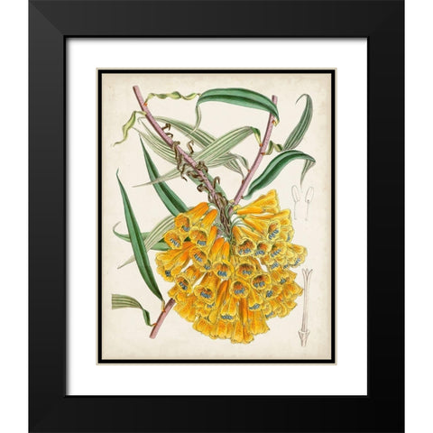 Delicate Tropicals VI Black Modern Wood Framed Art Print with Double Matting by Curtis