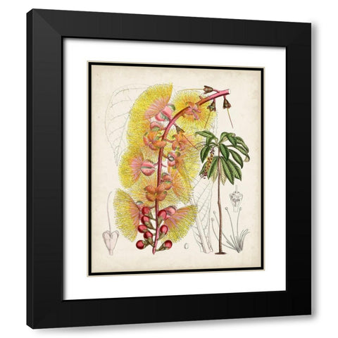 Delicate Tropicals VII Black Modern Wood Framed Art Print with Double Matting by Curtis
