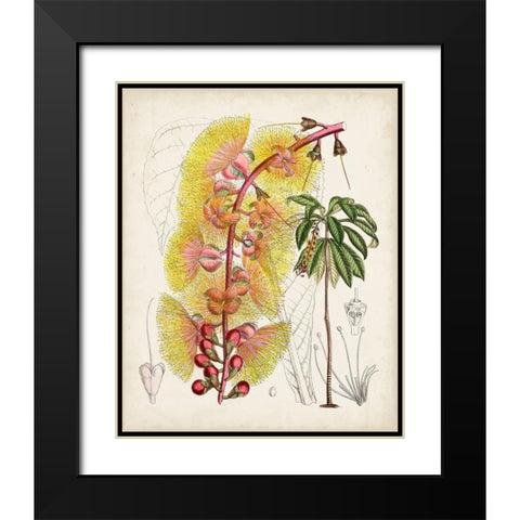 Delicate Tropicals VII Black Modern Wood Framed Art Print with Double Matting by Curtis