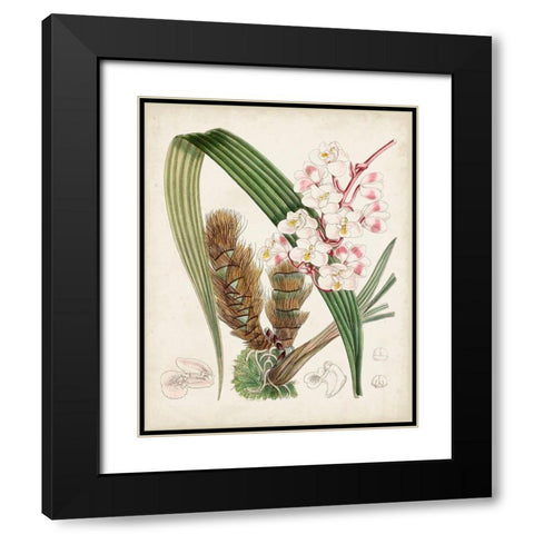 Delicate Tropicals VIII Black Modern Wood Framed Art Print with Double Matting by Curtis